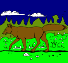 Dibujo Coyote pintado por pedro