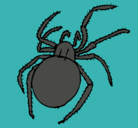 Dibujo Araña venenosa pintado por sergioA