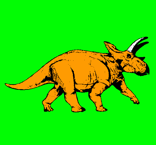 Triceratops