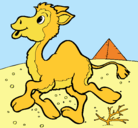Dibujo Camello pintado por maluisa