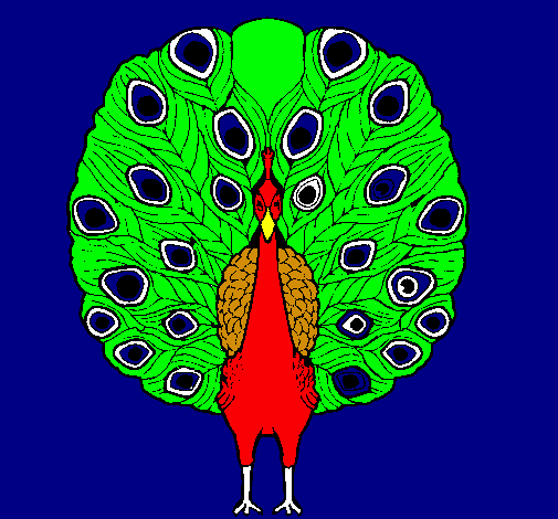 Pavo real