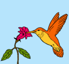 Dibujo Colibrí y una flor pintado por jaumec