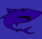 Dibujo Tiburón pintado por Sthetacanthus