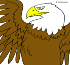Dibujo Águila Imperial Romana pintado por VCXXCVBNJGTGYIU