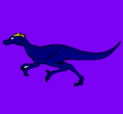 Velociraptor