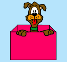 Dibujo Perro dentro de caja pintado por PPP11