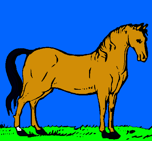 Caballo andaluz