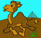 Dibujo Camello pintado por samara
