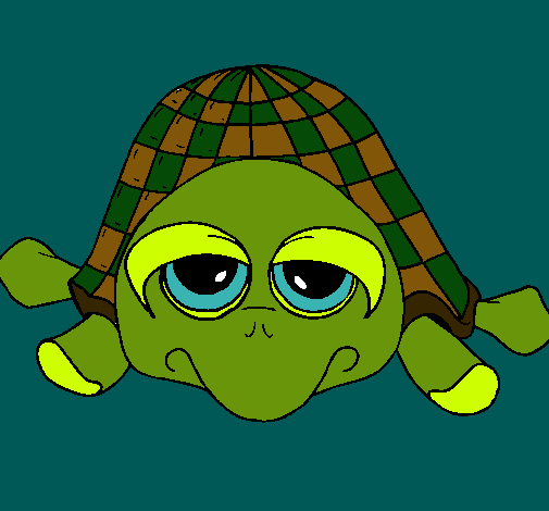 Tortuga