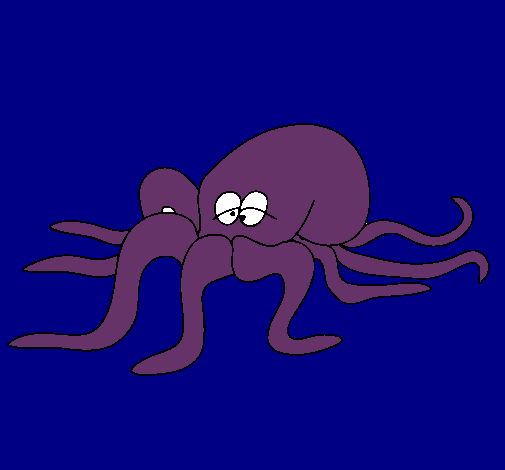 Pulpo