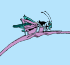 Dibujo Saltamontes en una rama pintado por mceihll