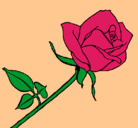 Dibujo Rosa pintado por lessys