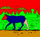 Dibujo Coyote pintado por joseramon