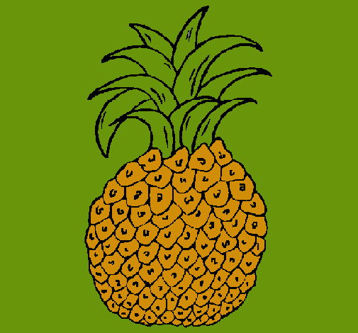 piña