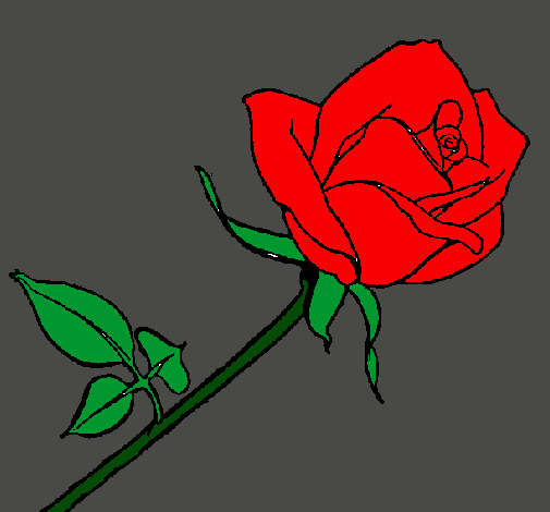 Dibujo Rosa pintado por tosande