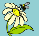 Dibujo Margarita con abeja pintado por anna
