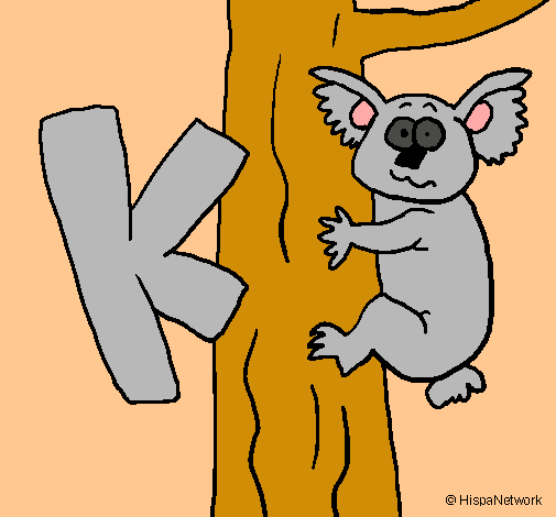 Koala