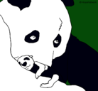Dibujo Oso panda con su cria pintado por idaira