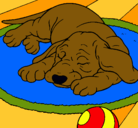 Dibujo Perro durmiendo pintado por lessys