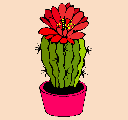 Cactus con flor