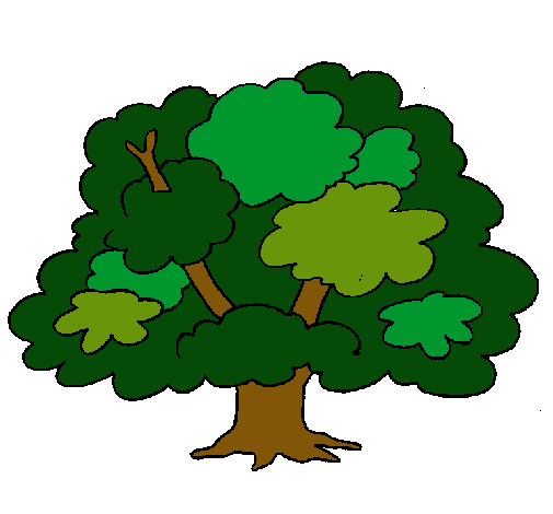 Árbol