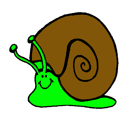 Caracol 