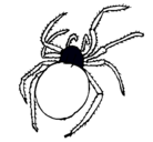 Dibujo Araña venenosa pintado por NORMA