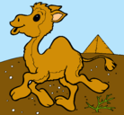 Dibujo Camello pintado por jesus-alfredo-c