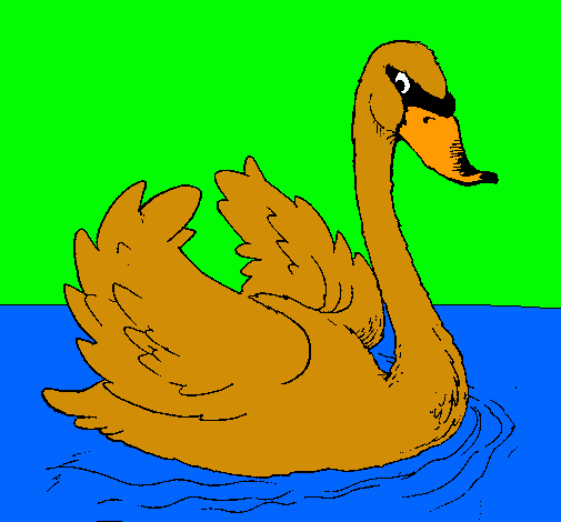 Cisne en el agua