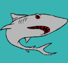 Dibujo Tiburón pintado por ernesto