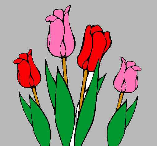 Tulipanes