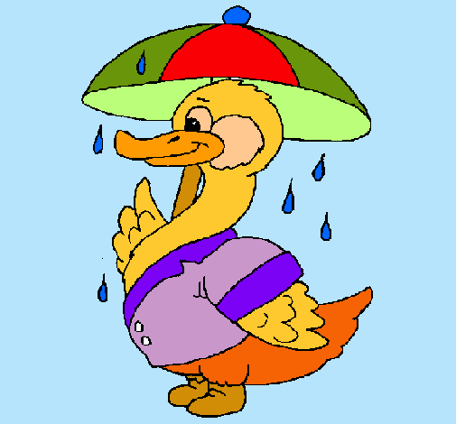 Pato bajo la lluvia