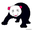Dibujo Oso panda pintado por michell