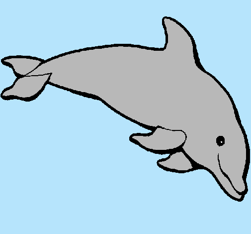 Dibujo Delfín contento pintado por hitany