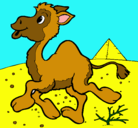 Dibujo Camello pintado por carlos 