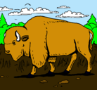 Dibujo Búfalo  pintado por teodor