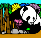 Dibujo Oso panda y bambú pintado por shalom