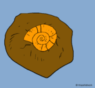 Dibujo Fósil caracol pintado por desy