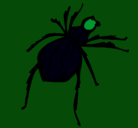Dibujo Araña viuda negra pintado por nahuel