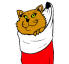 Dibujo Gato dentro de una calcetín pintado por ivaqn