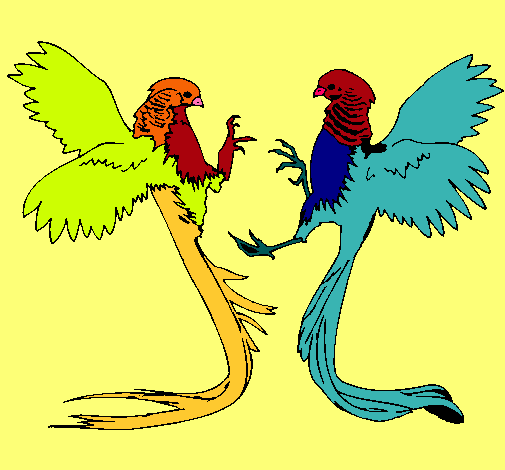 Dibujo Aves con largas colas pintado por sabri