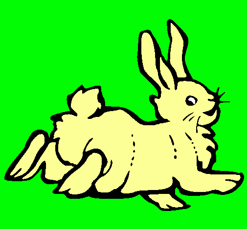 Dibujo Conejo contento pintado por nadia