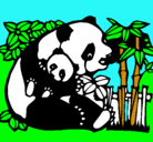Dibujo Mama panda pintado por carlos