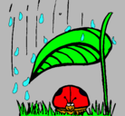 Dibujo Mariquita protegida de la lluvia pintado por sara