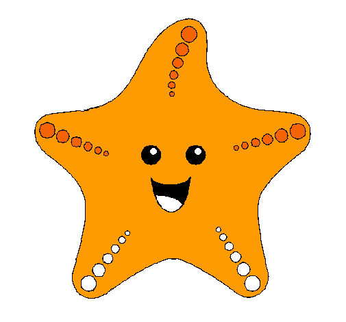 Estrella de mar