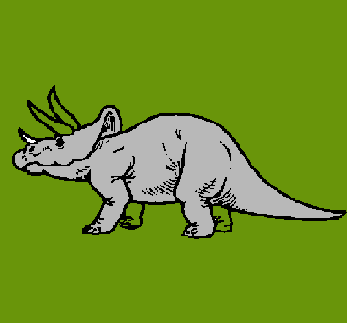 Triceratops