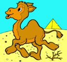 Dibujo Camello pintado por rere