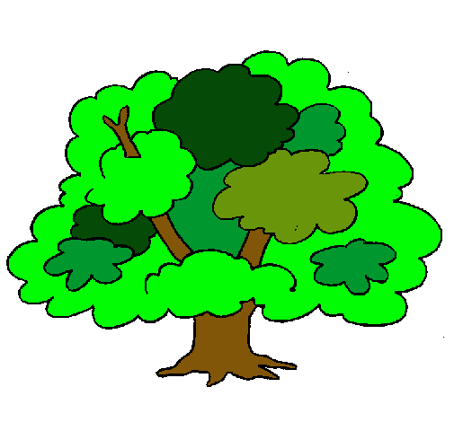 Árbol