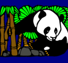 Dibujo Oso panda y bambú pintado por ibaiarroyo