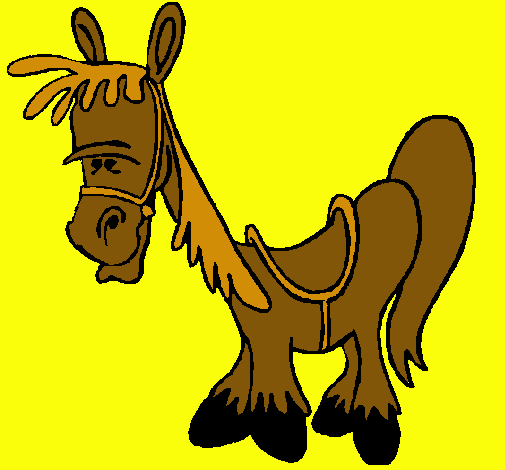 Caballo serio